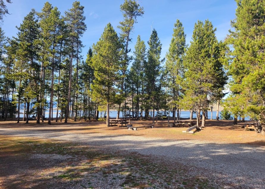 Madison Arm Resort Lakeside Tent Sites