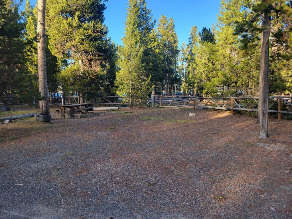 Full Hook Up RV Campsite F39 - Madison Arm Resort