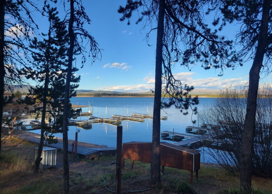 Marina From Behind Cabins