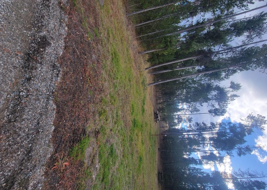 O1 Overflow Dry Camping West Yellowstone