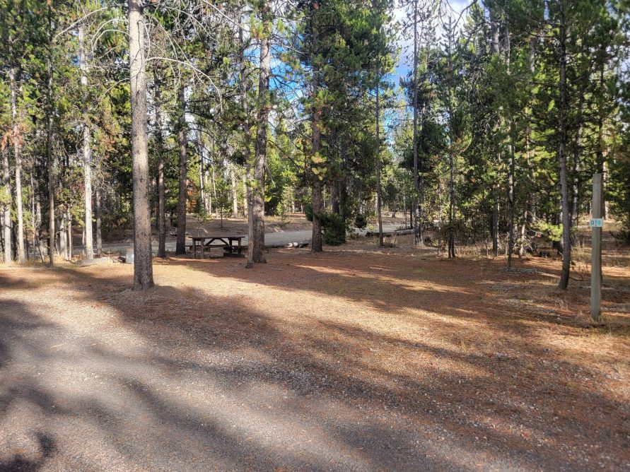 Hillside Forest Campsite O19