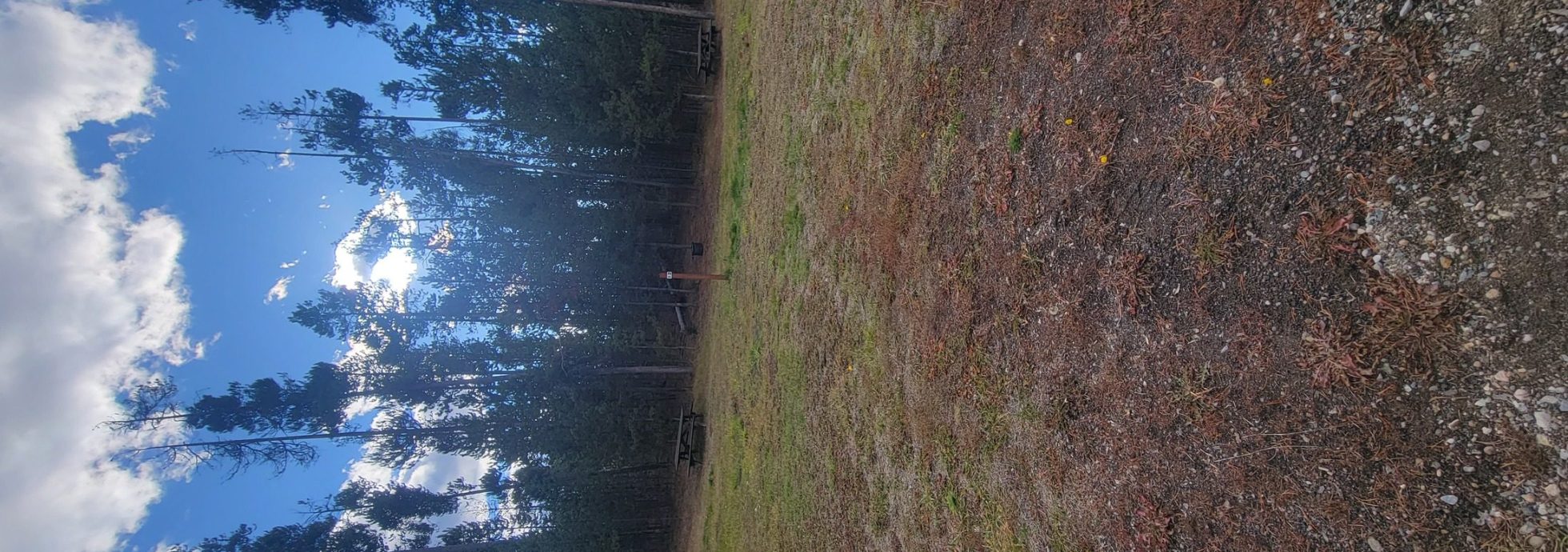 O2 Overflow Dry Camping Gallatin National Forest