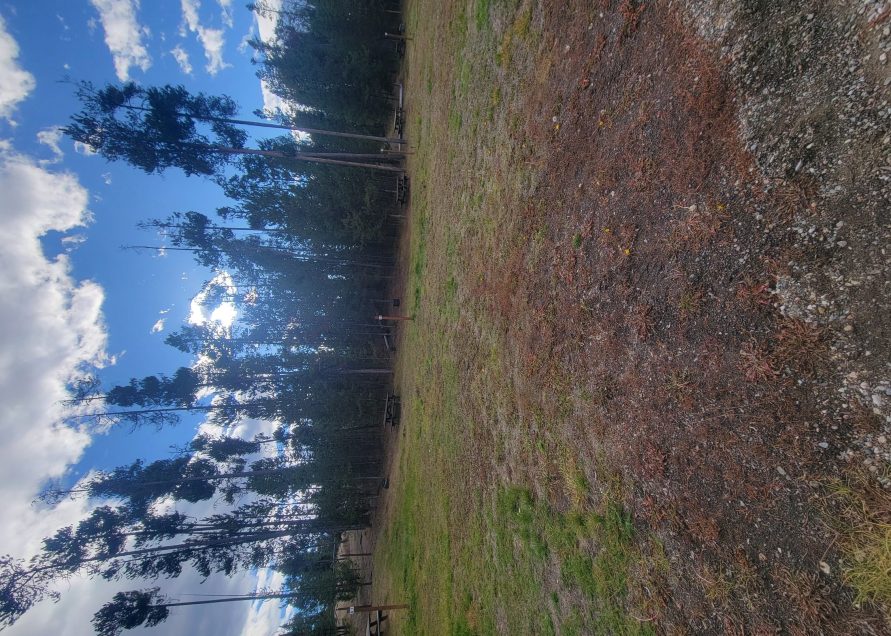 O2 Overflow Dry Camping Gallatin National Forest
