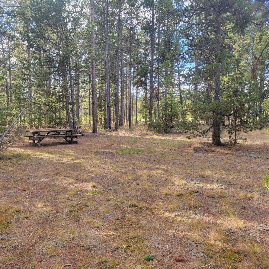 O22 Entrance Dry Campsite Madison Arm Hebgen Lake