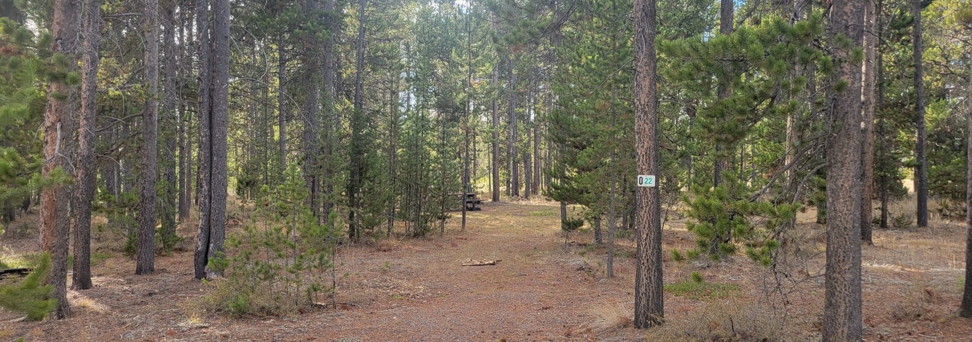 O22 Entrance Dry Campsite Madison Arm Resort