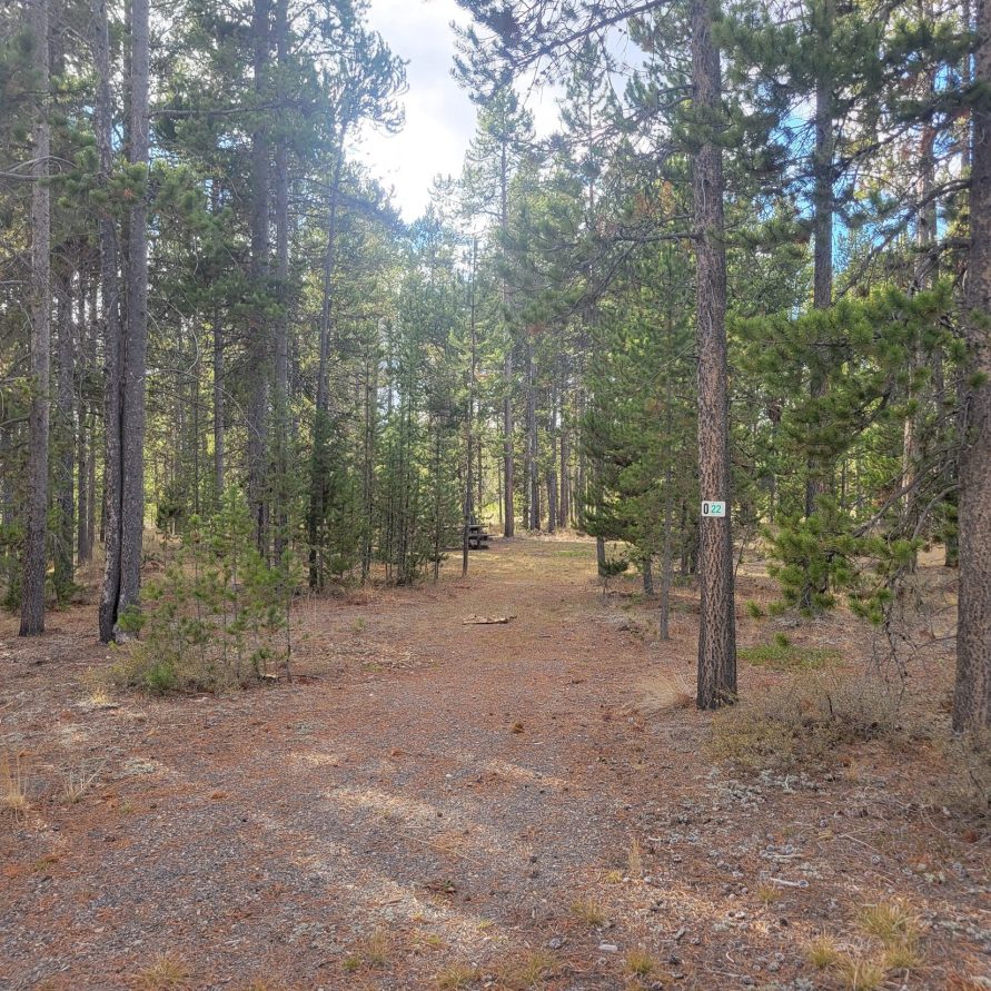 O22 Entrance Dry Campsite Madison Arm Resort