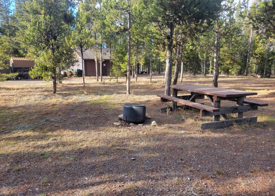 O24 Wooded Hillside Dry Campsite Madison Arm Resort