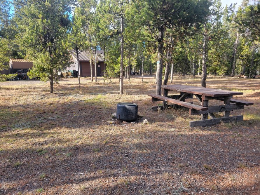 Hillside Forest Campsite O24