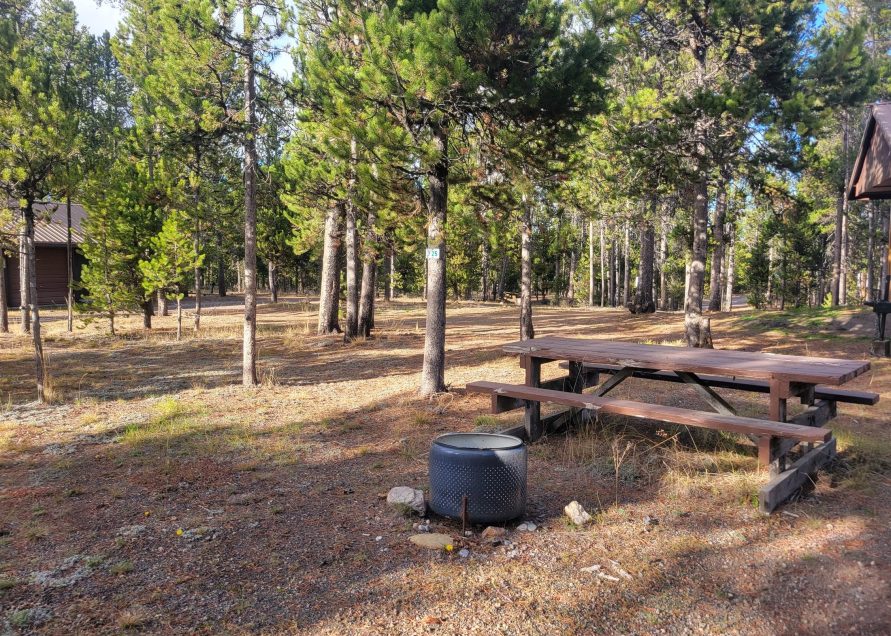 O24 Wooded Hillside Dry Campsite Yellowstone National Park