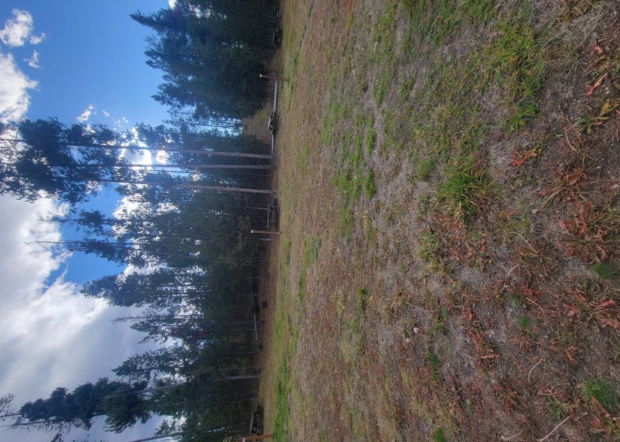 O3 Overflow Dry Camping Yellowstone National Park