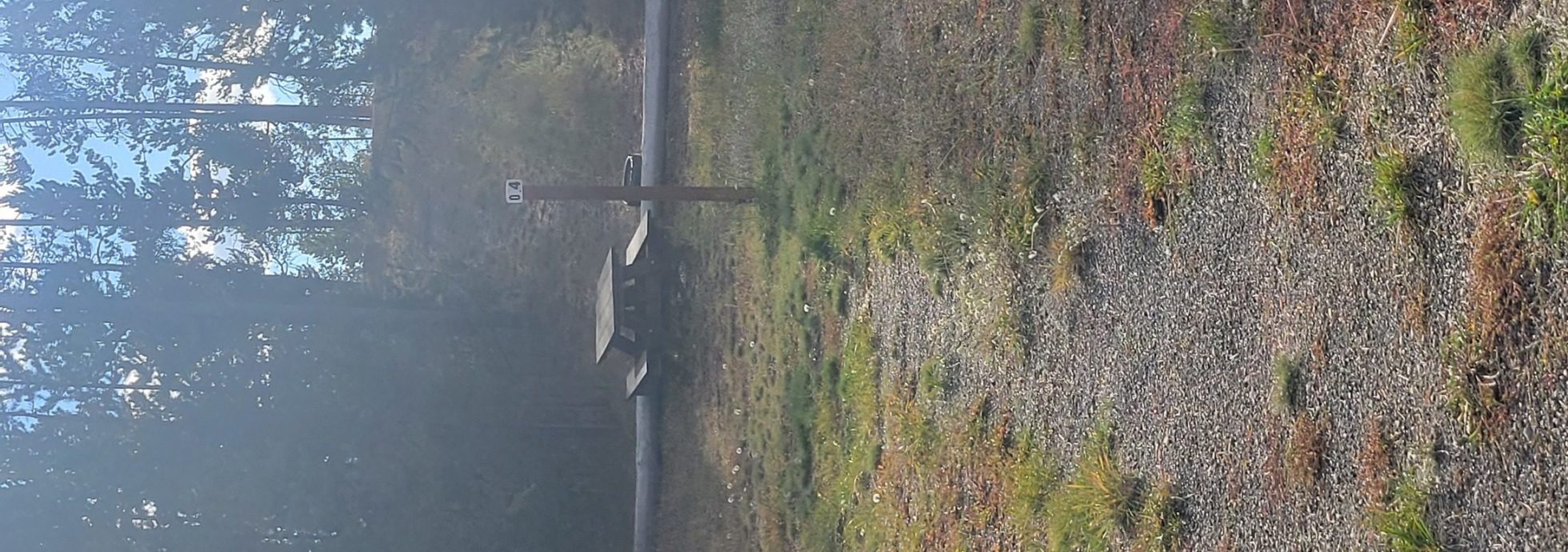 O4 Overflow Dry Camping West Yellowstone