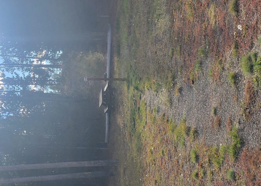 O4 Overflow Dry Camping West Yellowstone