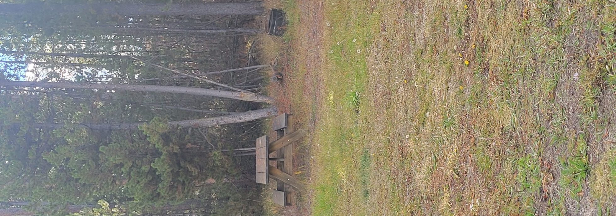 O6 Overflow Dry Camping Yellowstone National Park