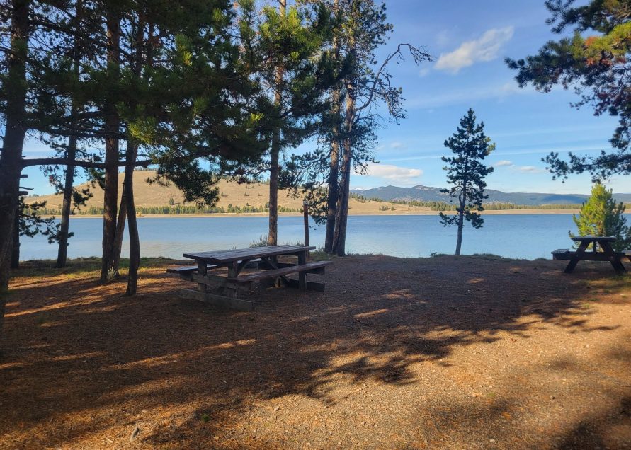 T5 Campsite - Yellowstone Camping