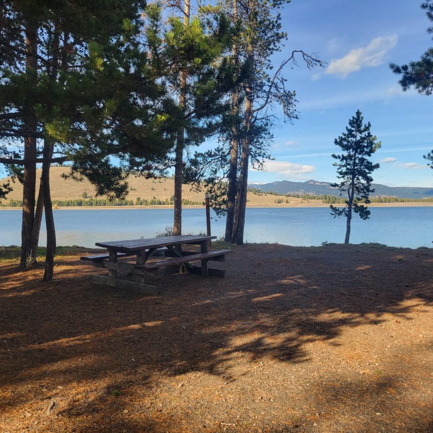 T5 Campsite - Yellowstone Camping