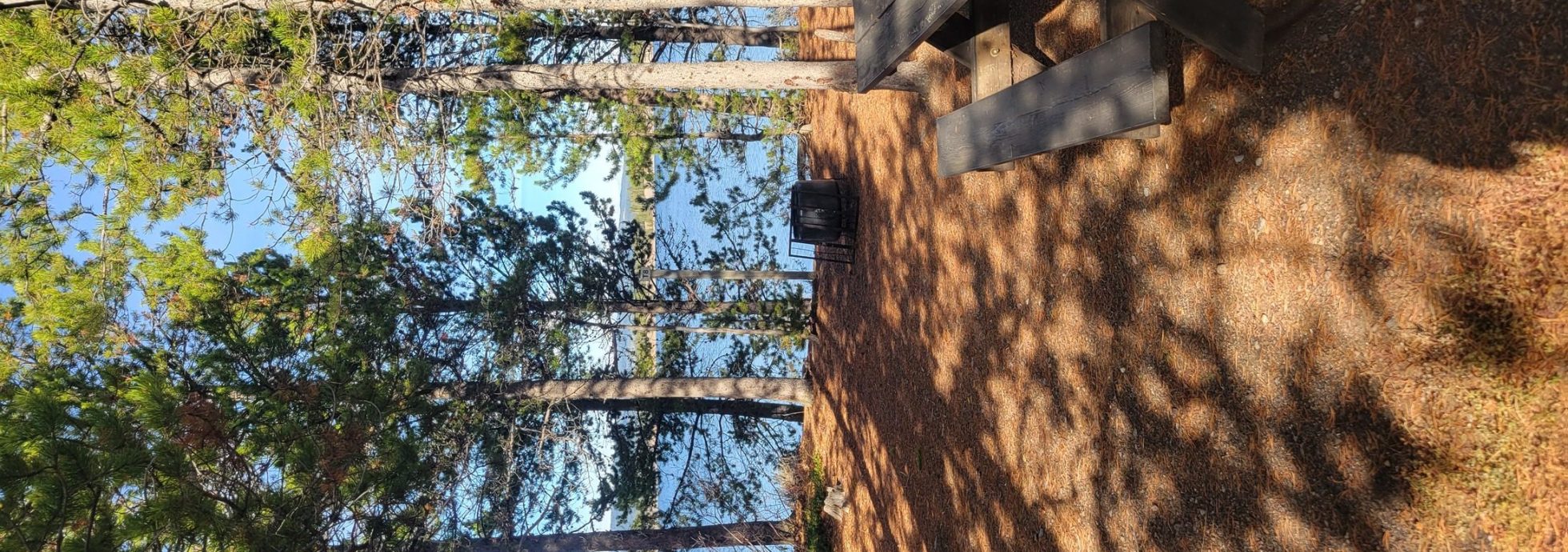 T8 Lakeside Tent Site