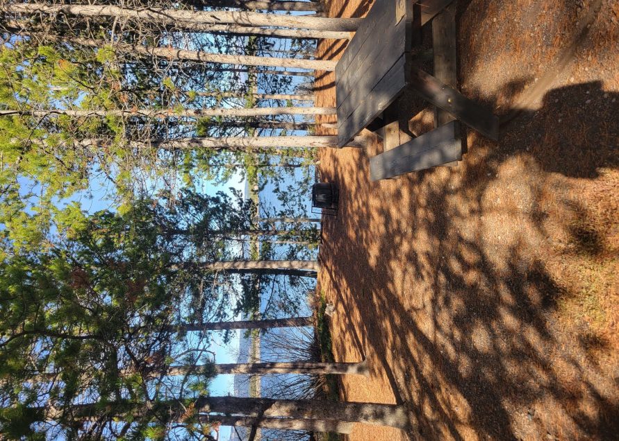 T8 Lakeside Tent Site