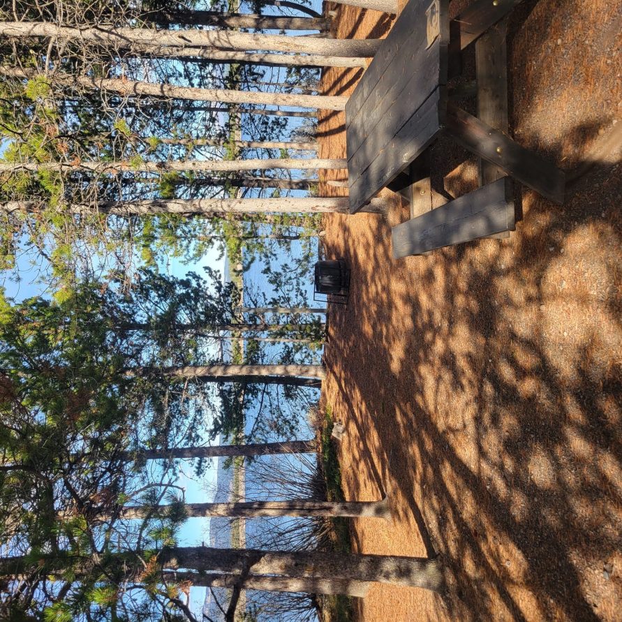 T8 Lakeside Tent Site