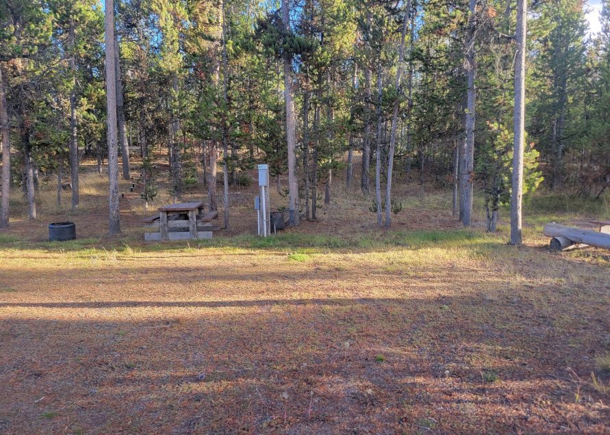 WP9 RV Campsite Gallatin Forest