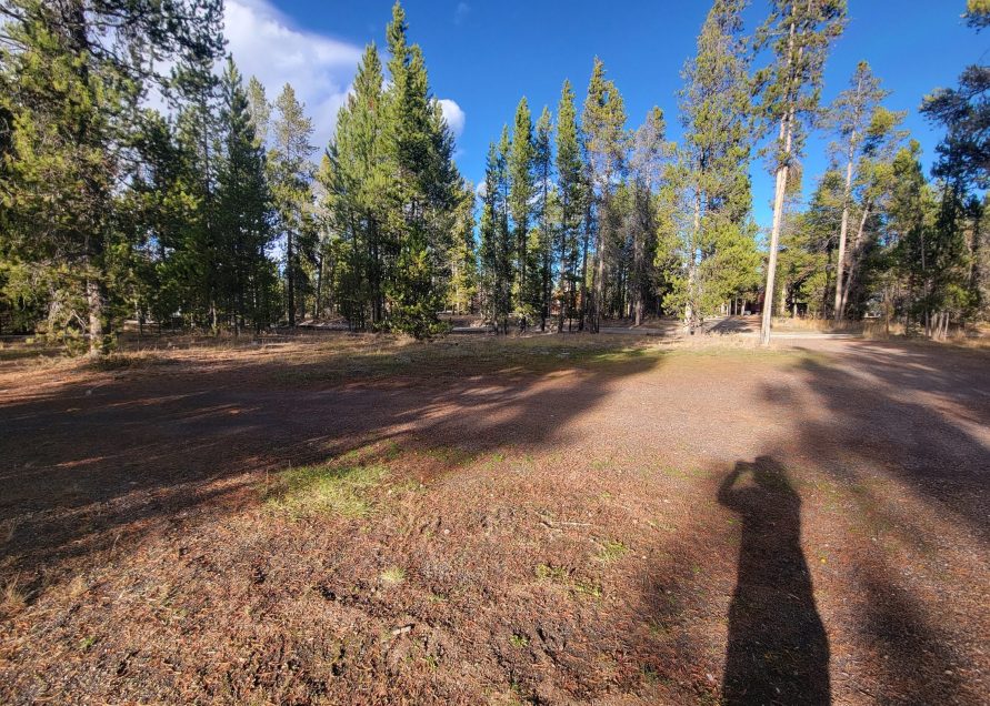 Wooded Hillside Campsites From Afar Madison Arm Resort