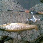 fishing pole and salmon