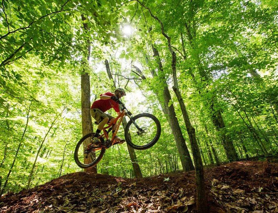 mountain bike gallatin national forest