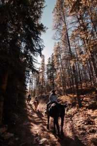 a couple of people riding on the back of horses